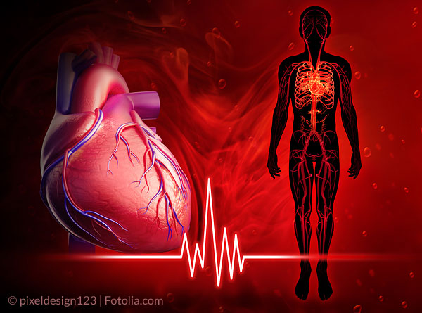 Der Blutdruck bestimmt die Pumpleistung des Herzens.